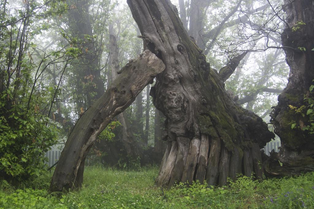 Sotto Il Vulcano Nicolosi Exterior foto
